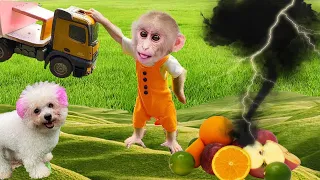 When Obi monkey misunderstands Amee as the garden destroyer