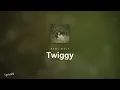 Remi Wolf - Twiggy (Lyrics)
