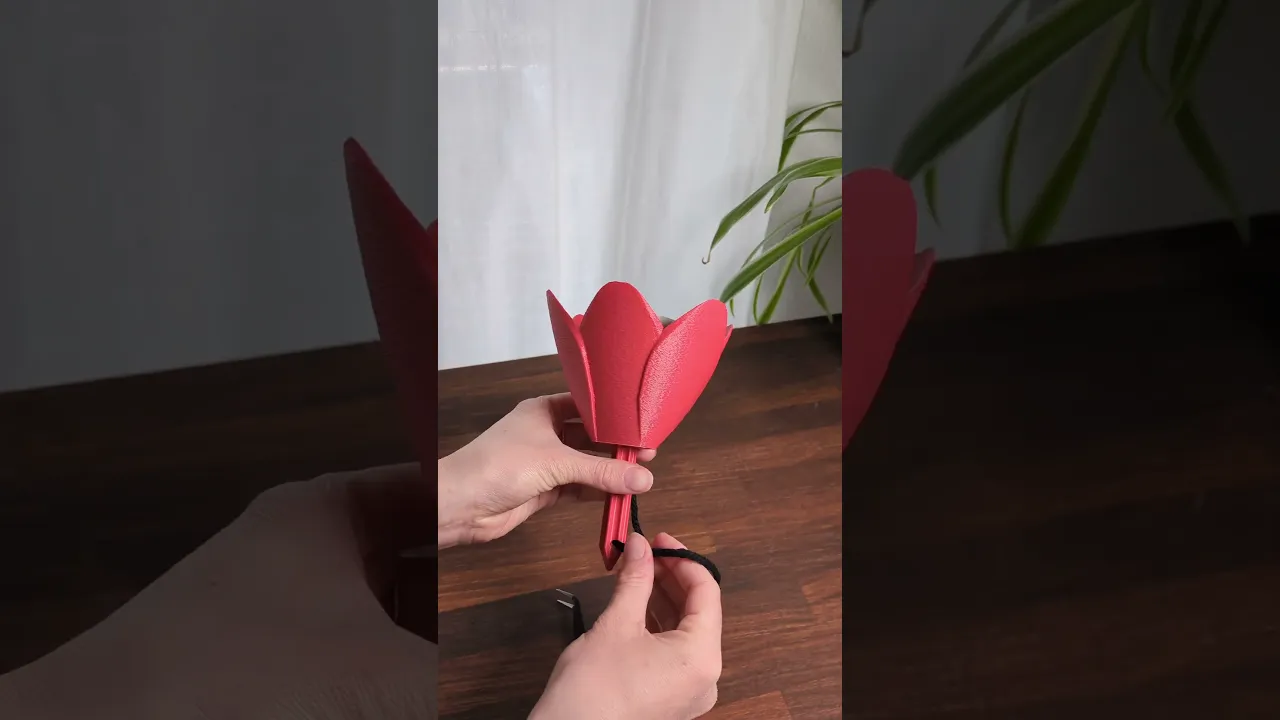 Flower02 - Self-Watering Insert video thumbnail