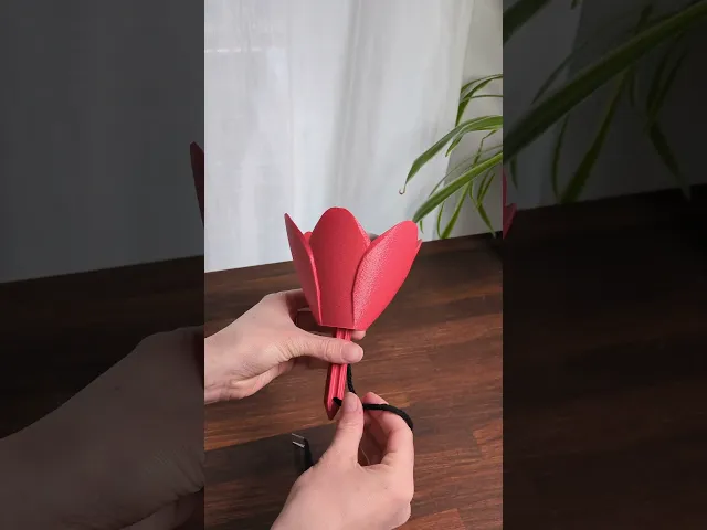Flower02 - Self-Watering Insert video thumbnail