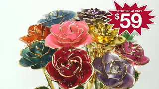 Best Mother s Day Gift Ever Steven Singer s famous 24kt Gold Dipped Roses