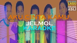 Download AKU CINTA KAMU | Jelmol (Karaoke) MP3