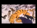 Download Lagu The jungle book episode-39 hindi cartoon.