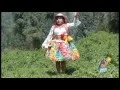 DINA GARCIA ROJAS Basura tu Carino D R
