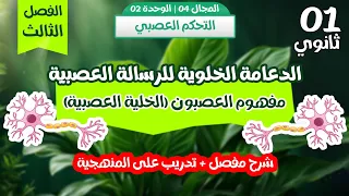 واخيرا اقوى شرح لمفهوم العصبون الخلية العصبية النخاع الشوكي تجارب الاستحالة سنة أولى ثانوي الفصل3 