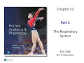 FAU BSC 2086 Chapter 22 The Respiratory System Part 1