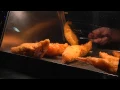 Toff s - The UK s best Fish Chip shop