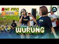 Download Lagu INEZ LALA - WURUNG || ONE PRO (LIVE 2ND ANNIVERSARY GASSLOOR)