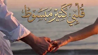 قلبي كتير مبسوط   ترند التيك توك كرمانجي أجمل ورده  ترند        دندنها
