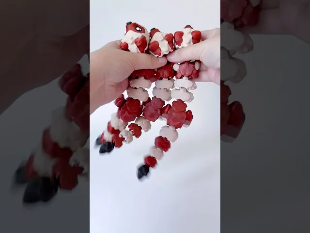 Ferret Flexi video thumbnail