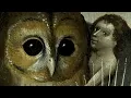 The Hidden Symbolism of Owls