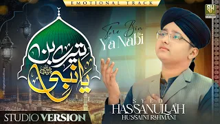 tere bin ya nabi mera koi sahara nahi hai syed hassan ullah hussaini