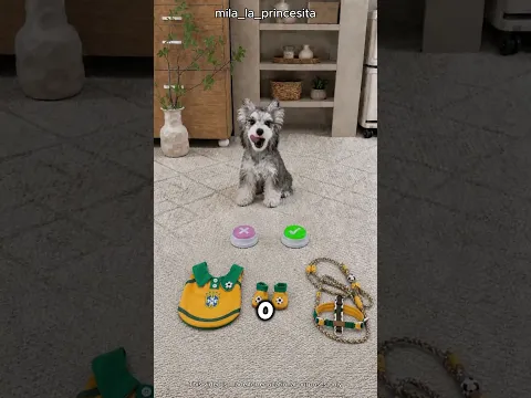 Você vai ficar impressionado ao ver esse pequeno fã do Ronaldo! 😳🐶⚽
