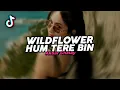 DJ WILDFLOWER X HUM TERE BIN VIRAL FYP TIKTOK TERBARU 2025! Akbar Chalay