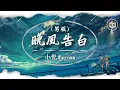 小包Zerinn - 晚風告白 (男版)【Lyrics Video】「我遇見很多人卻只想和你慢慢周旋」♪