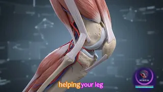 Why Your Knee Hurts: Understanding Knee Osteoarthritis & How Doctors Fix It (3D Animation)