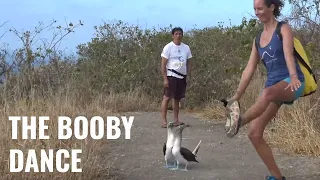 Don’t mess with those boobies! Poor Man’s Galápagos at its best – UNTIE THE LINES IV #53