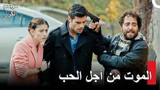 هل قوة الحب كافية لكل شيء؟ - موسم الكرز