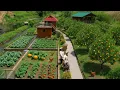 Download Lagu After 4 Years Off-Grid, We Finally Built a Concrete Road to Our Orange Orchard!