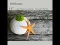 Meditate (Zen Meditation)
