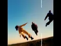 Daydreamers - Lawrence Hart