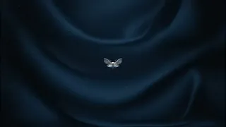 Maexst - Moth (ft. Serje) [Lyrics Visualizer]