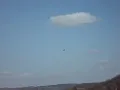 RCFLY C-130 Hercules EPP maiden flight