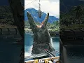 Download Lagu Amazing Animal Growing Up🙀🔥Before \u0026 After #beforeandafter #animaltransformation #animals