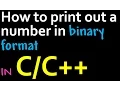 How to print out a number in binary format using
