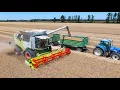 Download Lagu Búza aratás 2025 | Claas Trion 660 + 2x Tucano 440 | Virág és Társa Kft.