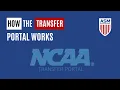 How the NCAA Transfer Portal Works