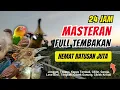 Download Lagu Masteran Kombinasi Tembakan Kasar Untuk Semua Jenis Burung Lomba