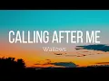 Wallows - Calling After Me (Lyrics)