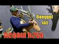 Download Lagu Patung Rusa dari bonggol jati