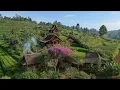 Download Lagu Dijamin Bikin Asyik😍Tempat Nongkrong Paling Syahdu Dihiasi Taman Bunga Di Tengah Alam Indah Sumedang