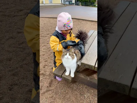 ഏവക്കുട്ടന്റെ കൂട്ടുകാരി 🥰😻🐈 | daily life #mallusinfinland #minivlog #familyvlog