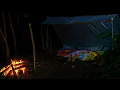 Download Lagu 24 JAM berkemah di Hutan Tanpa Shelter! Mancing \u0026 Masak di Alam Bebas‼️