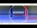 Grid on Slide - microarray printing