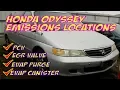 Honda Odyssey Emissions EVAP purge canister PCV valve EGR locations