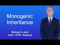 A Level Biology Revision Year 13 Monogenic Inheritance