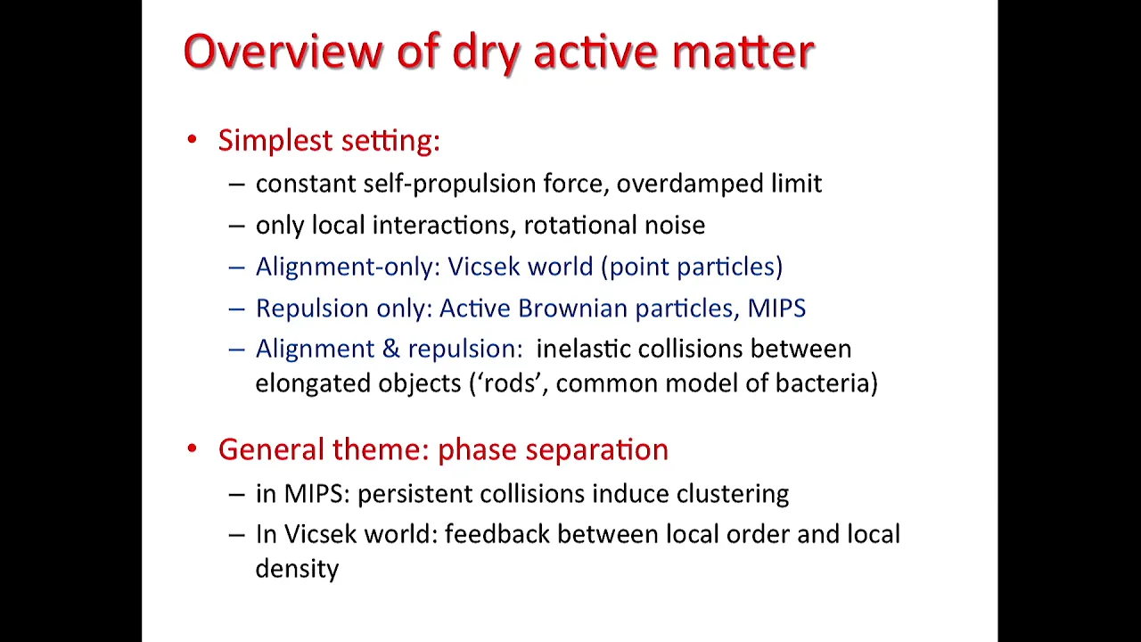 From Manifest to Hidden Collective Behavior in Dense Bacterial Suspensions