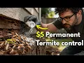 The 4 Permanent Termites control