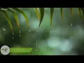You & Me: Relaxing Piano Music & Soft Rain Sounds For Sleep & Relaxation by Peder B. Helland