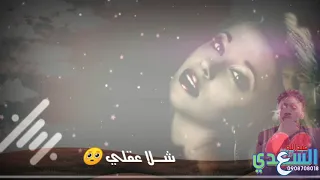 ود دار الزين حالات واتس 