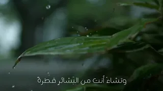 و تشاء أنت من البشائر قطرة و يشاء ربك أن يغيثك بالمطر  و تشاء أنت من البشائر قطرة و يشاء ربك أن يغيثك بالمطر
