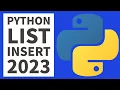 Python Programming - Insert Entries In List 2023