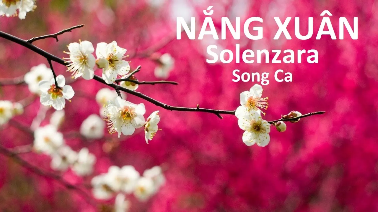 Nắng Xuân (Solenzara) )_ LV Phạm Duy 22:00 Dec 22’25