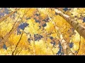 Peaceful Music Relaxing Music Instrumental Music The Golden Days of Autumn by Tim Janis