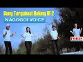Download Lagu Lagu Batak Terbaru 2020 - Nagogoi Voice DANG TARGABUSI HOLONGKI-2