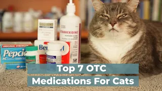 Download 7 OTC Human Medications Safe and Effective for Cats MP3